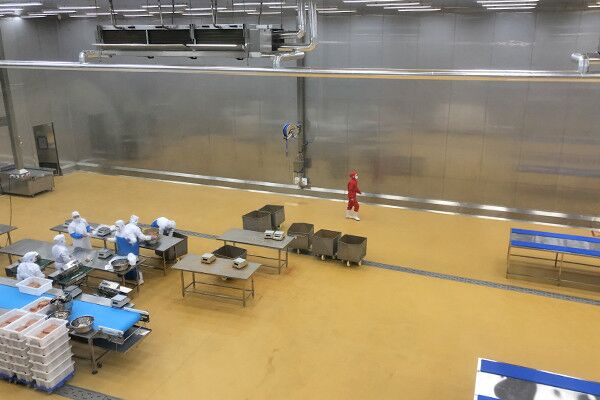 食品凈化車(chē)間